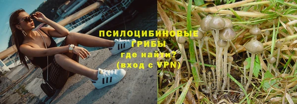 герыч Алексин