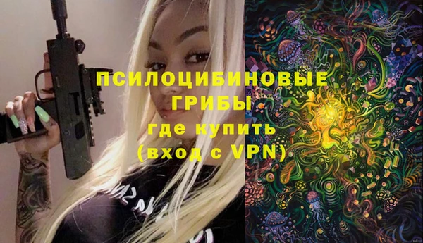 герыч Алексин